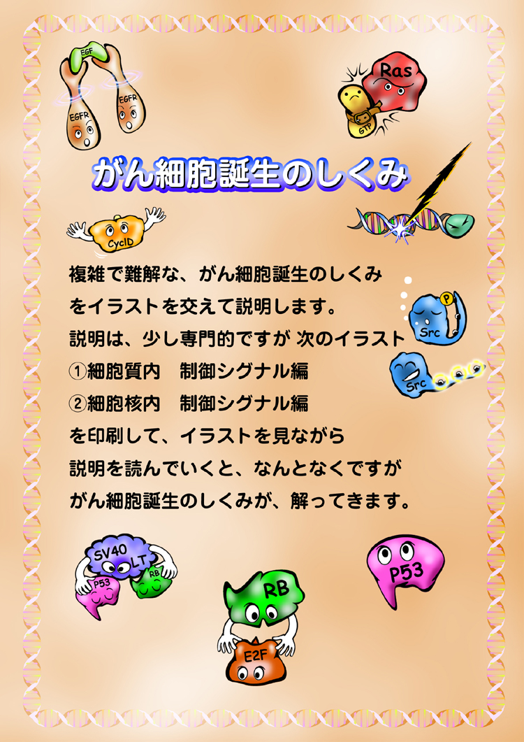 発がんメカニズムのイラスト1